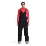 Spyder Terrain Bib Insulated Pant BLACK